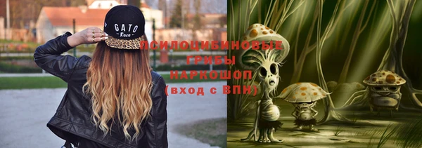 дживик Кодинск
