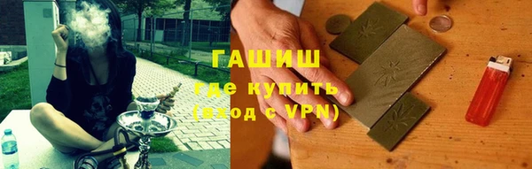 индика Козельск