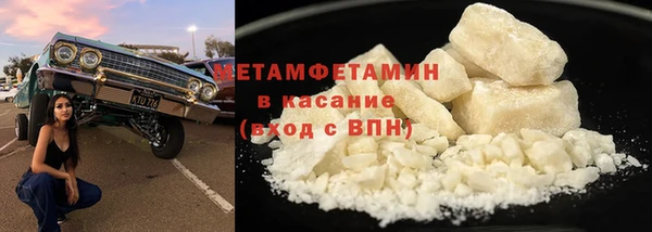 индика Козельск
