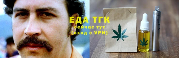 индика Козельск