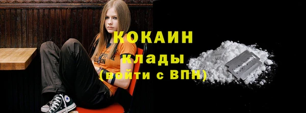 индика Козельск