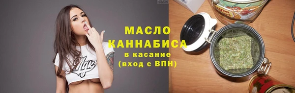 индика Козельск