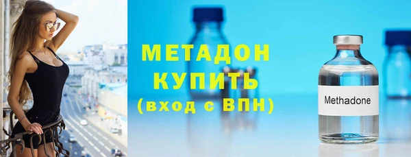 индика Козельск