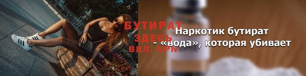индика Козельск