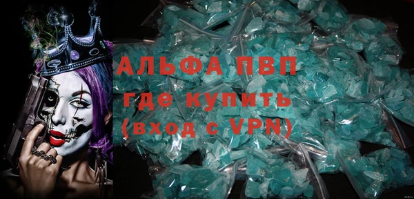 индика Козельск