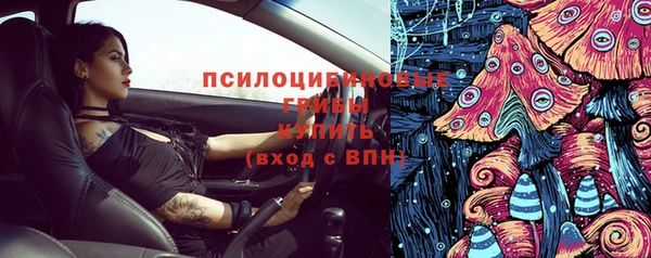 индика Козельск