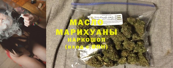 индика Козельск