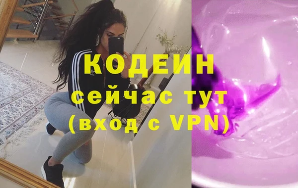 индика Козельск