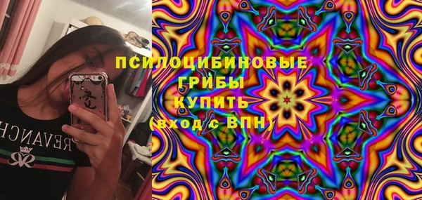 первитин Козловка
