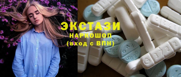 индика Козельск