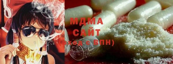 индика Козельск