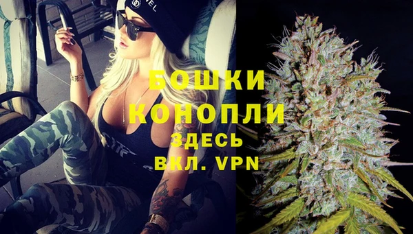 индика Козельск