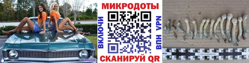 Галлюциногенные грибы прущие грибы  Купить закладки  Бавлы 