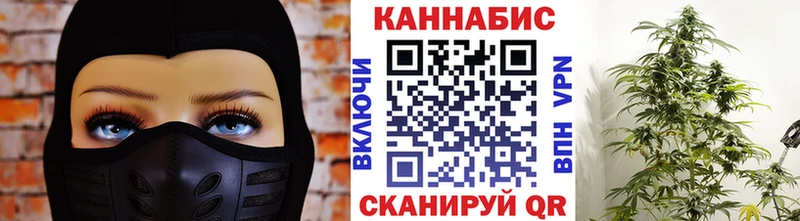 Каннабис Ganja  Купить закладки  Бавлы 
